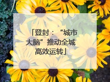 登封：“城市大脑”推动全城高效运转