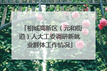 相城高新区（元和街道）人大工委调研新就业群体工作情况