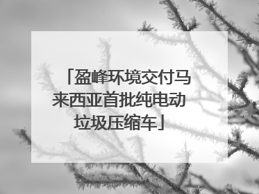 盈峰环境交付马来西亚首批纯电动垃圾压缩车