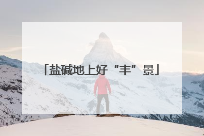 盐碱地上好“丰”景