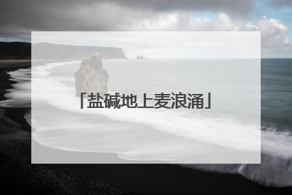 盐碱地上麦浪涌