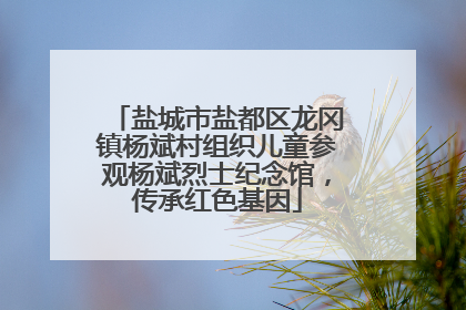 盐城市盐都区龙冈镇杨斌村组织儿童参观杨斌烈士纪念馆，传承红色基因