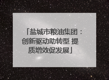 盐城市粮油集团：创新驱动助转型 提质增效促发展