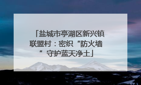 盐城市亭湖区新兴镇联盟村：密织“防火墙”守护蓝天净土