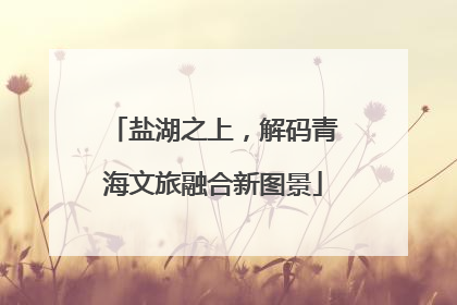 盐湖之上，解码青海文旅融合新图景