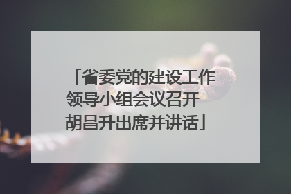 省委党的建设工作领导小组会议召开 胡昌升出席并讲话