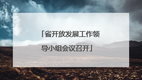 省开放发展工作领导小组会议召开