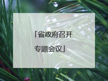 省政府召开专题会议