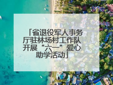 省退役军人事务厅驻林场村工作队开展“六一”爱心助学活动
