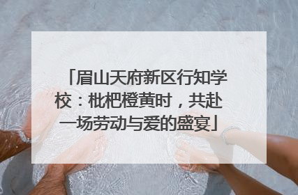 眉山天府新区行知学校：枇杷橙黄时，共赴一场劳动与爱的盛宴