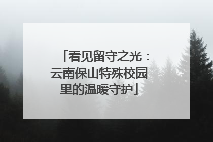 看见留守之光：云南保山特殊校园里的温暖守护