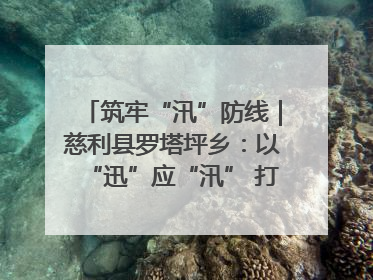 筑牢“汛”防线｜慈利县罗塔坪乡：以“迅”应“汛” 打赢暴雨防御战