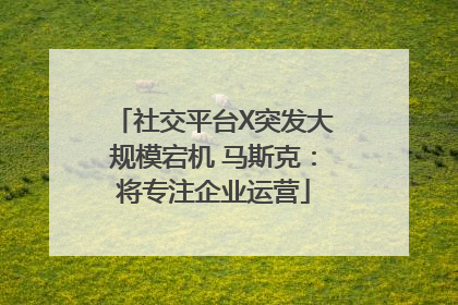 社交平台X突发大规模宕机 马斯克：将专注企业运营