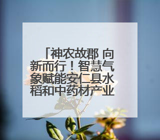 神农故郡 向新而行！智慧气象赋能安仁县水稻和中药材产业发展