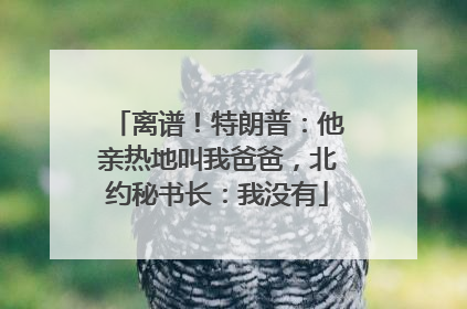 离谱！特朗普：他亲热地叫我爸爸，北约秘书长：我没有
