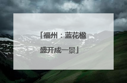 福州：蓝花楹盛开成一景