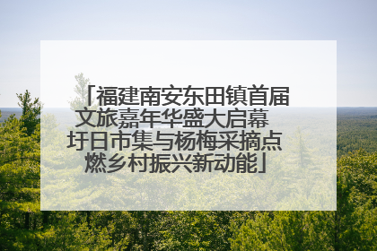 福建南安东田镇首届文旅嘉年华盛大启幕 圩日市集与杨梅采摘点燃乡村振兴新动能