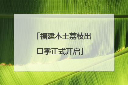 福建本土荔枝出口季正式开启