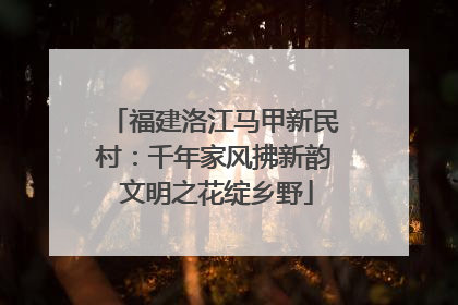 福建洛江马甲新民村：千年家风拂新韵 文明之花绽乡野
