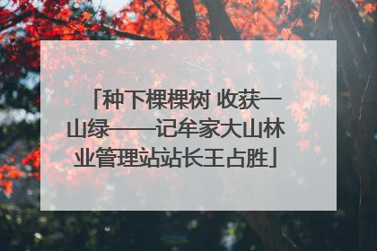 种下棵棵树 收获一山绿——记牟家大山林业管理站站长王占胜