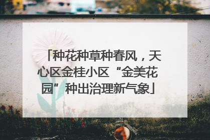 种花种草种春风，天心区金桂小区“金美花园”种出治理新气象