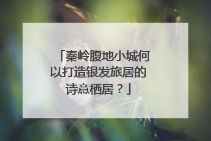 秦岭腹地小城何以打造银发旅居的诗意栖居？