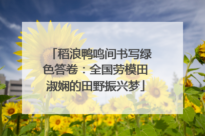 稻浪鸭鸣间书写绿色答卷：全国劳模田淑娴的田野振兴梦