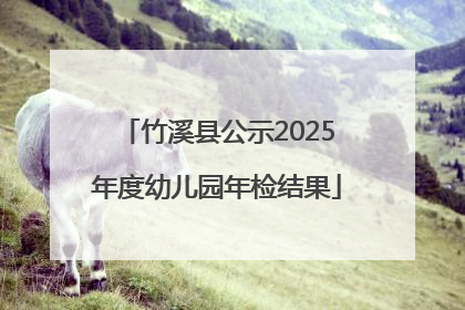竹溪县公示2025年度幼儿园年检结果