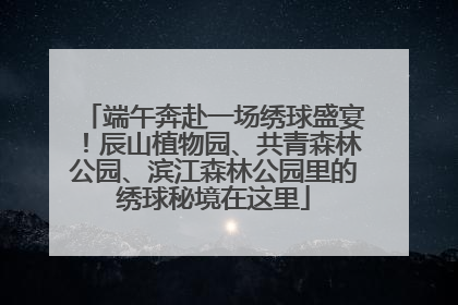 端午奔赴一场绣球盛宴！辰山植物园、共青森林公园、滨江森林公园里的绣球秘境在这里