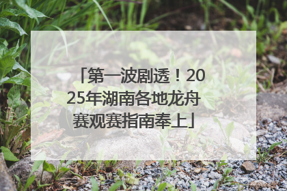 第一波剧透！2025年湖南各地龙舟赛观赛指南奉上
