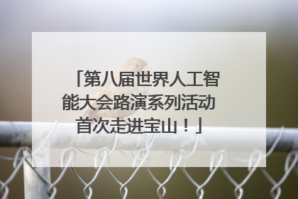 第八届世界人工智能大会路演系列活动首次走进宝山！