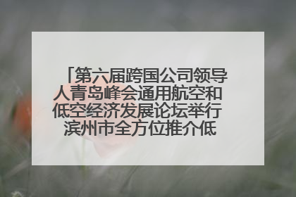 第六届跨国公司领导人青岛峰会通用航空和低空经济发展论坛举行 滨州市全方位推介低空经济发展优势