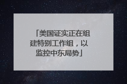 美国证实正在组建特别工作组，以监控中东局势