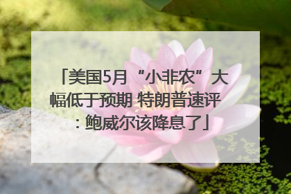 美国5月“小非农”大幅低于预期 特朗普速评：鲍威尔该降息了