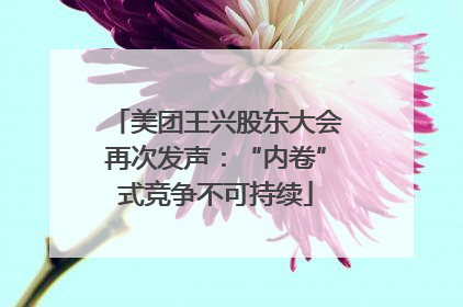 美团王兴股东大会再次发声：“内卷”式竞争不可持续