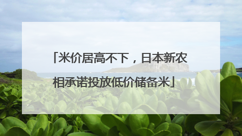 米价居高不下，日本新农相承诺投放低价储备米