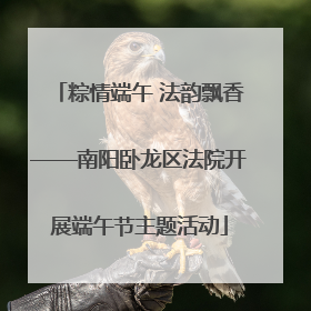粽情端午 法韵飘香——南阳卧龙区法院开展端午节主题活动