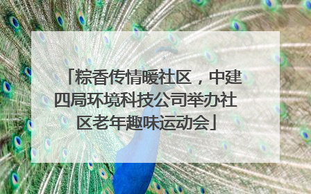 粽香传情暖社区，中建四局环境科技公司举办社区老年趣味运动会