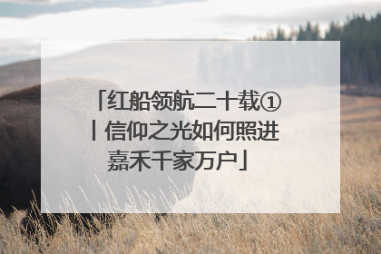 红船领航二十载①丨信仰之光如何照进嘉禾千家万户