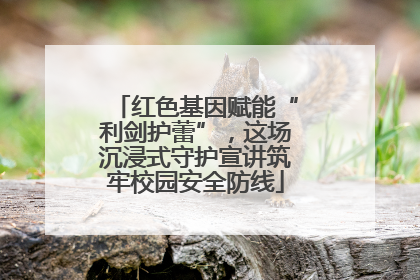 红色基因赋能“利剑护蕾”，这场沉浸式守护宣讲筑牢校园安全防线