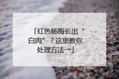 红色杨梅长出“白肉”？这里教你处理方法→