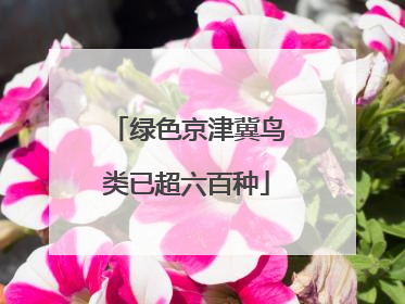 绿色京津冀鸟类已超六百种