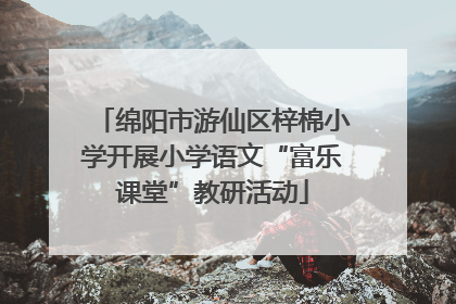 绵阳市游仙区梓棉小学开展小学语文“富乐课堂”教研活动