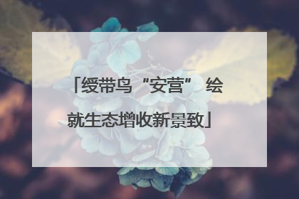 绶带鸟“安营” 绘就生态增收新景致