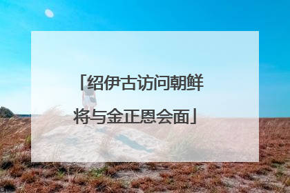 绍伊古访问朝鲜 将与金正恩会面