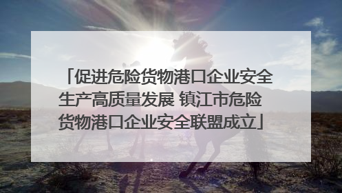 促进危险货物港口企业安全生产高质量发展 镇江市危险货物港口企业安全联盟成立