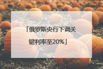 俄罗斯央行下调关键利率至20%
