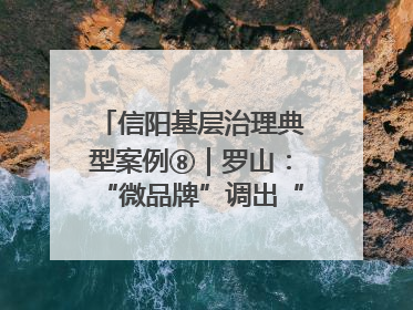 信阳基层治理典型案例⑧｜罗山：“微品牌”调出“大和谐”