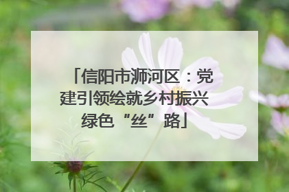 信阳市浉河区：党建引领绘就乡村振兴绿色“丝”路