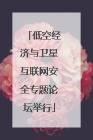 低空经济与卫星互联网安全专题论坛举行